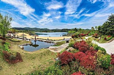 江苏耗资8亿元景区,以生态旅游为其特色,门票210但评价很高