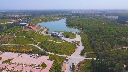 伽师县城中胡杨生态园