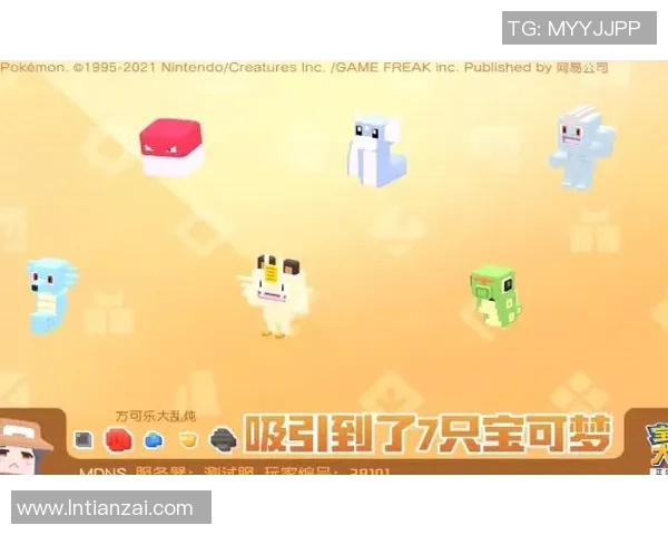 周娜独家分享网球心得与技巧助你提升球技的秘诀与经验