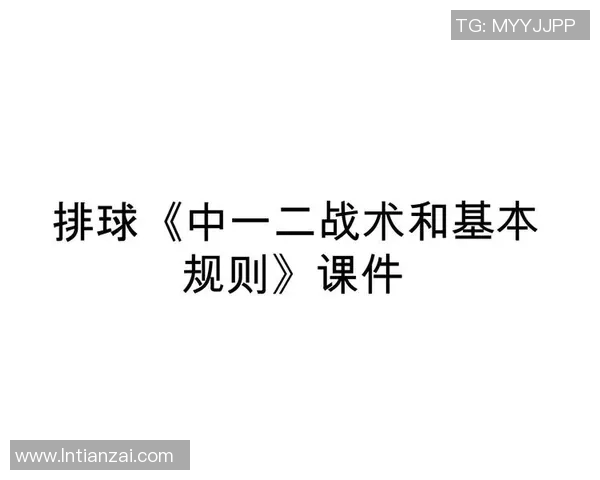 广州排球队在全国锦标赛中的战术分析与表现评估
