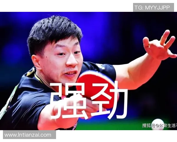 深圳排球队以52分领跑大满贯积分榜展现强劲实力与团队合作精神