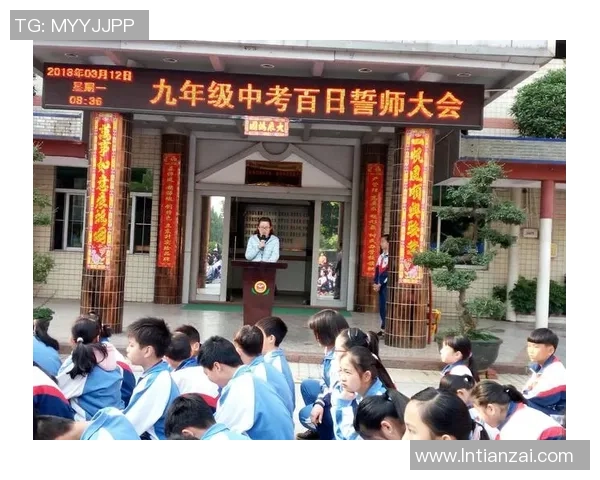 在排球场上绽放光彩：陈静的奋斗与梦想之旅